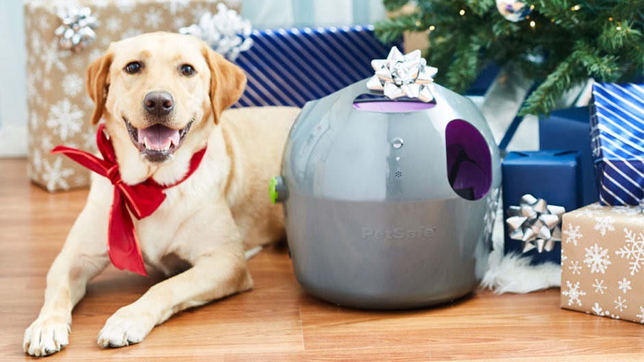 Spoil your pet this Christmas! OHL Mag