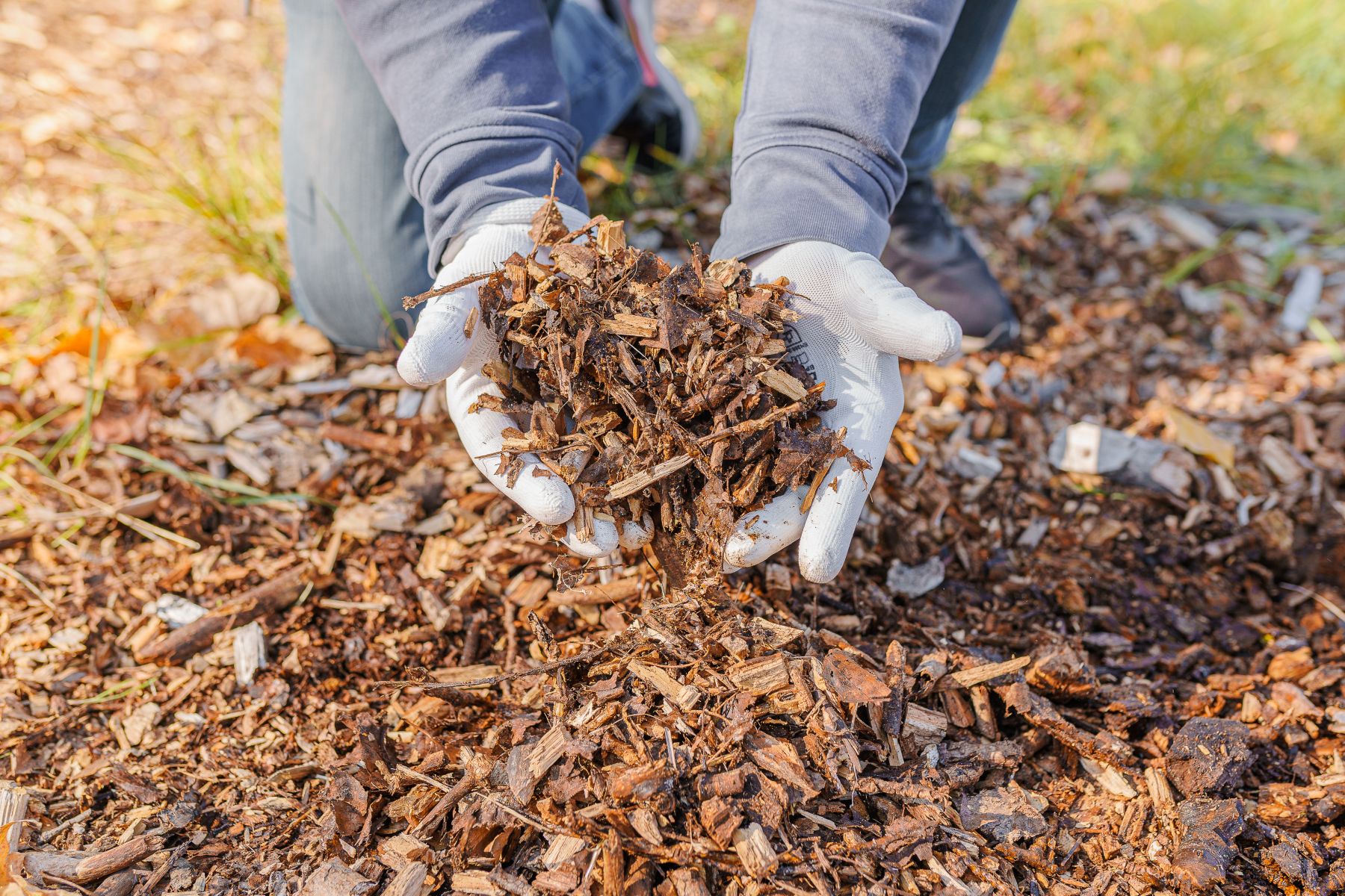 Benefits and Uses of Black Mulch in Salt Lake City